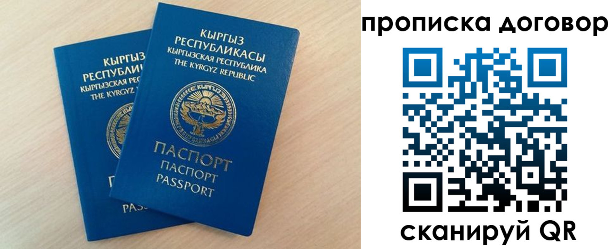 временная регистрация для всех в Волгоградской области