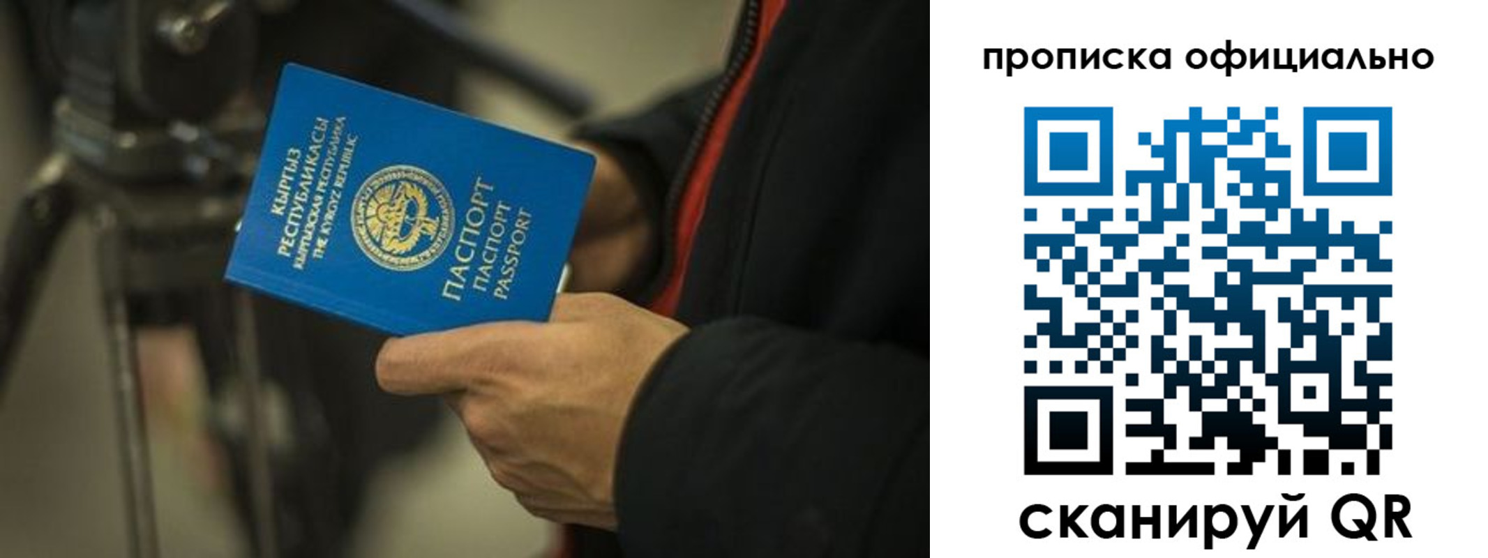 прописка в Волгоградской области